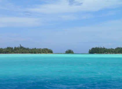 bleu